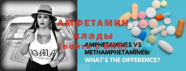 молекула духа Алексеевка