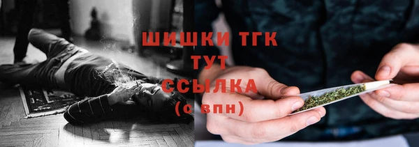 молекула духа Алексеевка