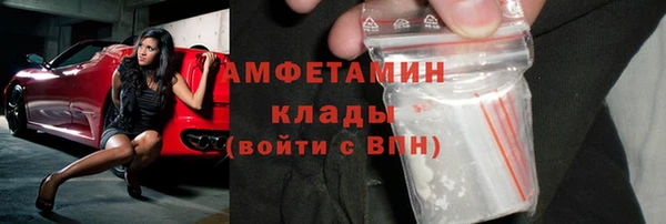 молекула духа Алексеевка