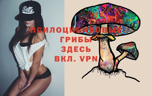 молекула духа Алексеевка
